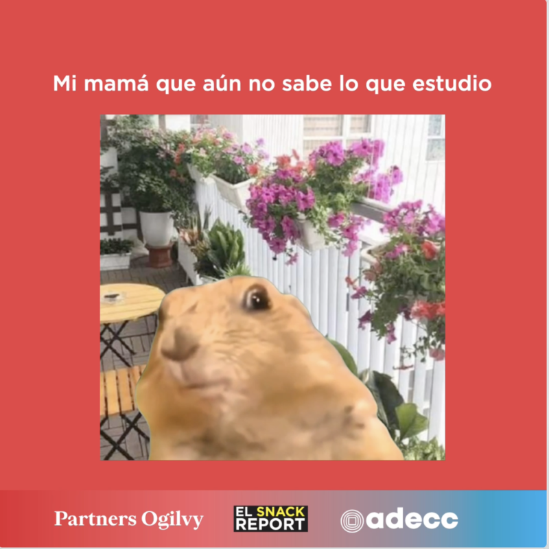 La otra cara del festival inicia aquí